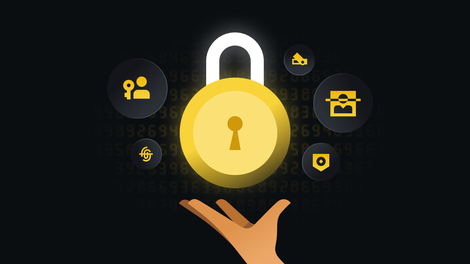 pi最新版本下载