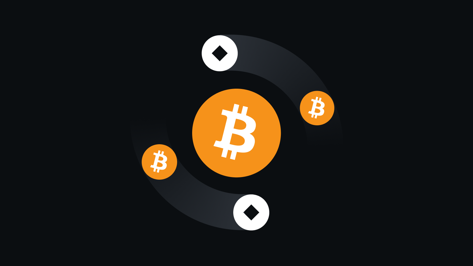 pi最新版本下载